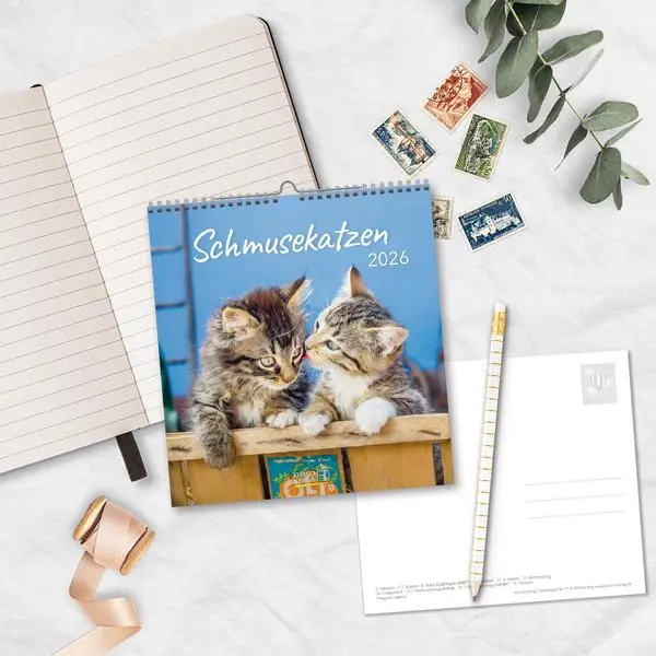 Bild: 9783731884071 | Schmusekatzen 2026 | aufstellbarer Postkartenkalender | Verlag Korsch