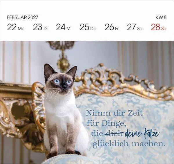 Bild: 9783819304071 | Katzen 2027 | Korsch Verlag | Kalender | 54 S. | Deutsch | 2027
