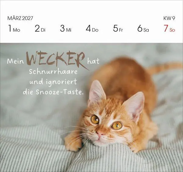 Bild: 9783819304071 | Katzen 2027 | Korsch Verlag | Kalender | 54 S. | Deutsch | 2027