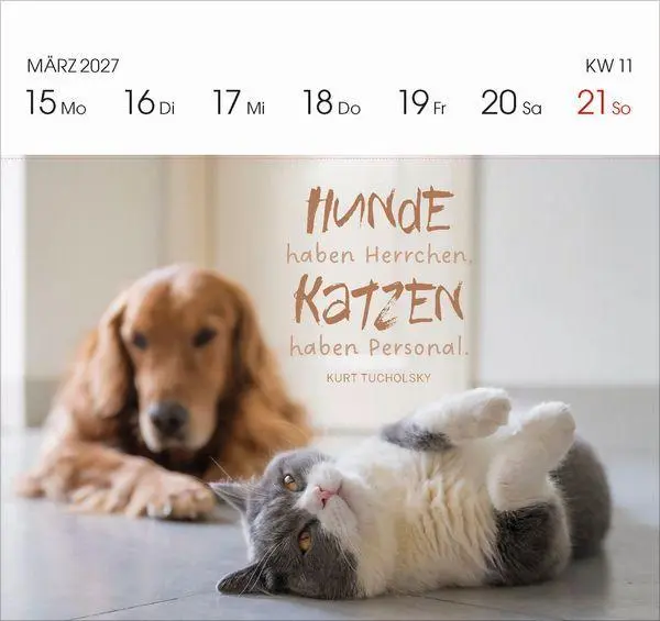 Bild: 9783819304071 | Katzen 2027 | Korsch Verlag | Kalender | 54 S. | Deutsch | 2027