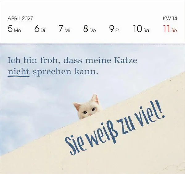 Bild: 9783819304071 | Katzen 2027 | Korsch Verlag | Kalender | 54 S. | Deutsch | 2027