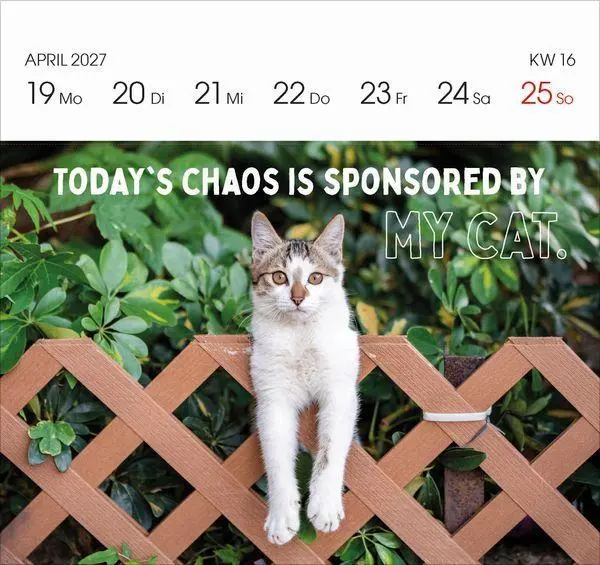 Bild: 9783819304071 | Katzen 2027 | Korsch Verlag | Kalender | 54 S. | Deutsch | 2027