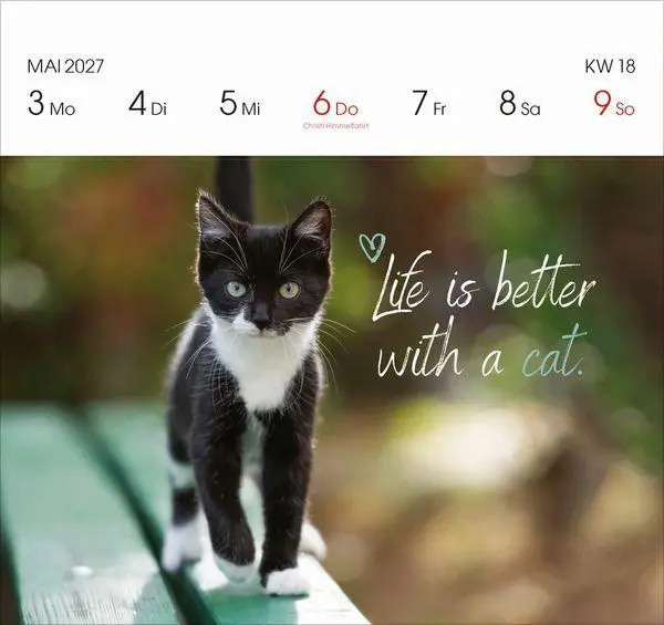 Bild: 9783819304071 | Katzen 2027 | Korsch Verlag | Kalender | 54 S. | Deutsch | 2027