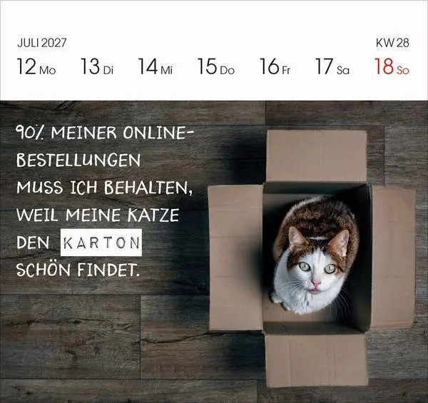 Bild: 9783819304071 | Katzen 2027 | Korsch Verlag | Kalender | 54 S. | Deutsch | 2027