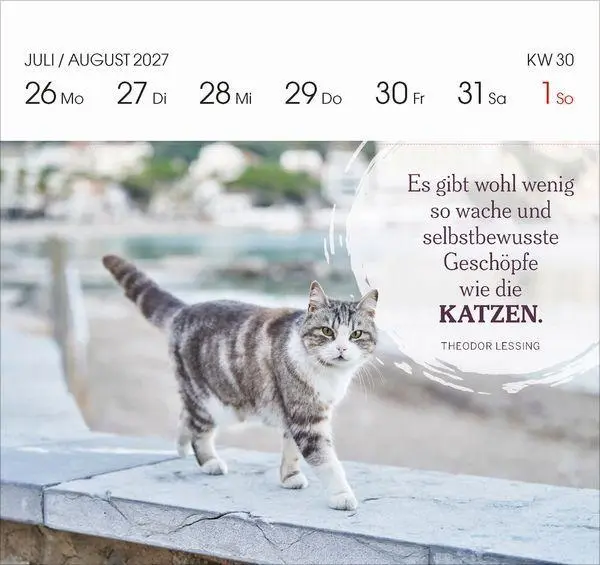 Bild: 9783819304071 | Katzen 2027 | Korsch Verlag | Kalender | 54 S. | Deutsch | 2027