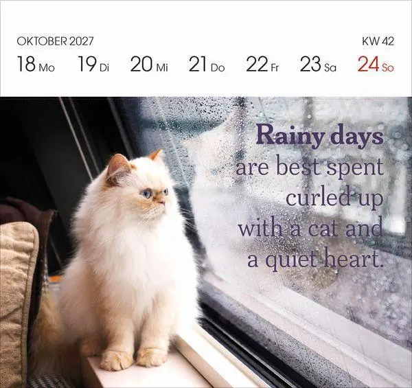 Bild: 9783819304071 | Katzen 2027 | Korsch Verlag | Kalender | 54 S. | Deutsch | 2027