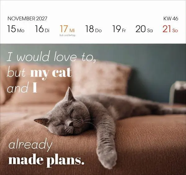 Bild: 9783819304071 | Katzen 2027 | Korsch Verlag | Kalender | 54 S. | Deutsch | 2027