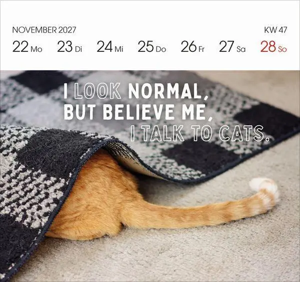 Bild: 9783819304071 | Katzen 2027 | Korsch Verlag | Kalender | 54 S. | Deutsch | 2027
