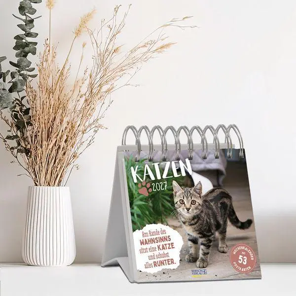Bild: 9783819304071 | Katzen 2027 | Korsch Verlag | Kalender | 54 S. | Deutsch | 2027