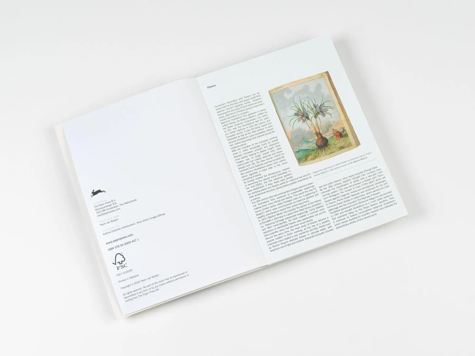 Bild: 9789460094071 | Flowers | Creative Paper Book | Pepin Van Roojen | Taschenbuch | 2026