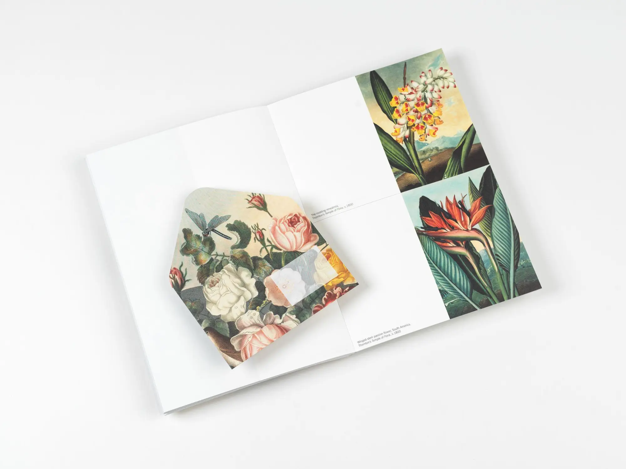 Bild: 9789460094071 | Flowers | Creative Paper Book | Pepin Van Roojen | Taschenbuch | 2026
