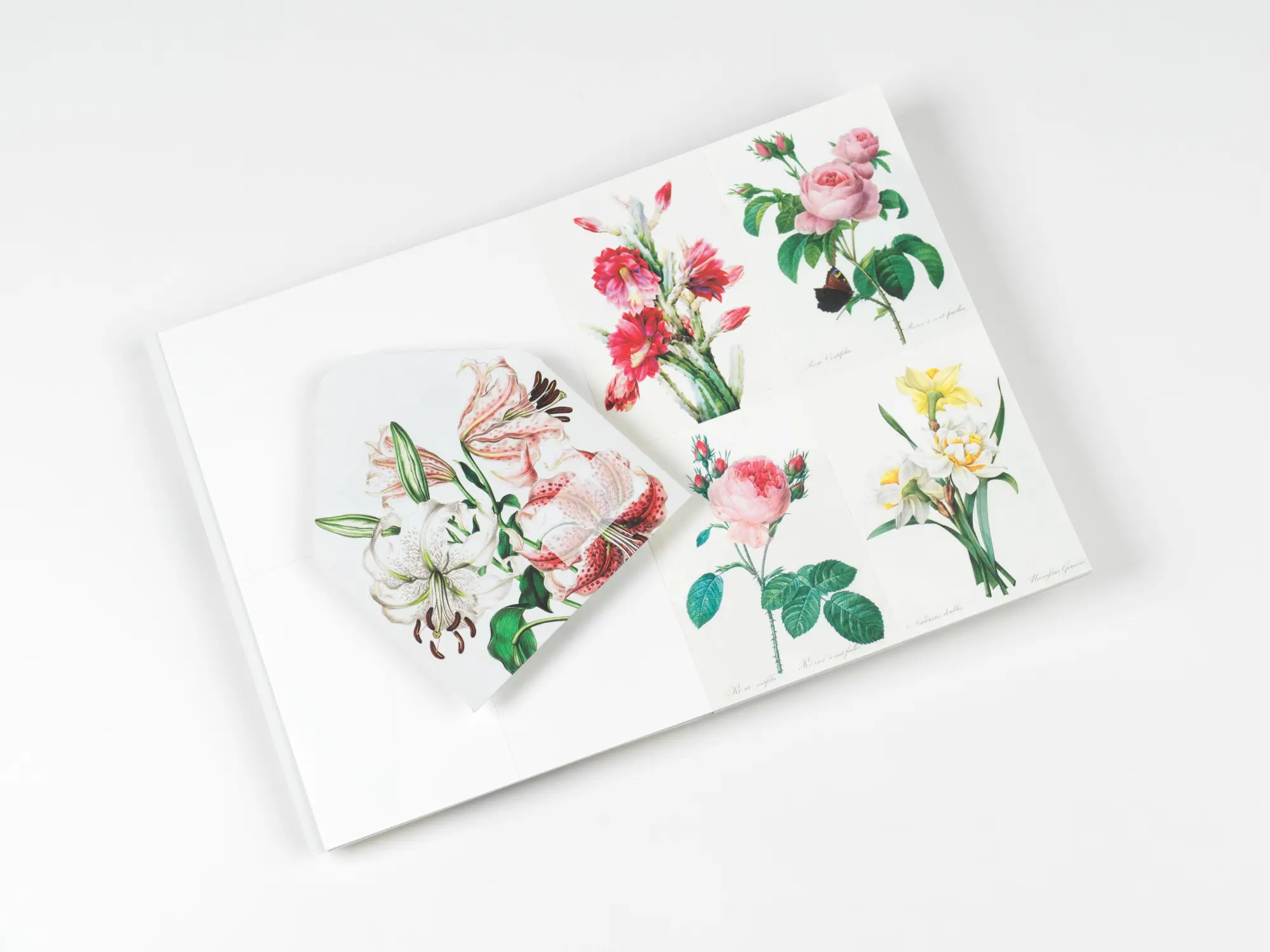 Bild: 9789460094071 | Flowers | Creative Paper Book | Pepin Van Roojen | Taschenbuch | 2026