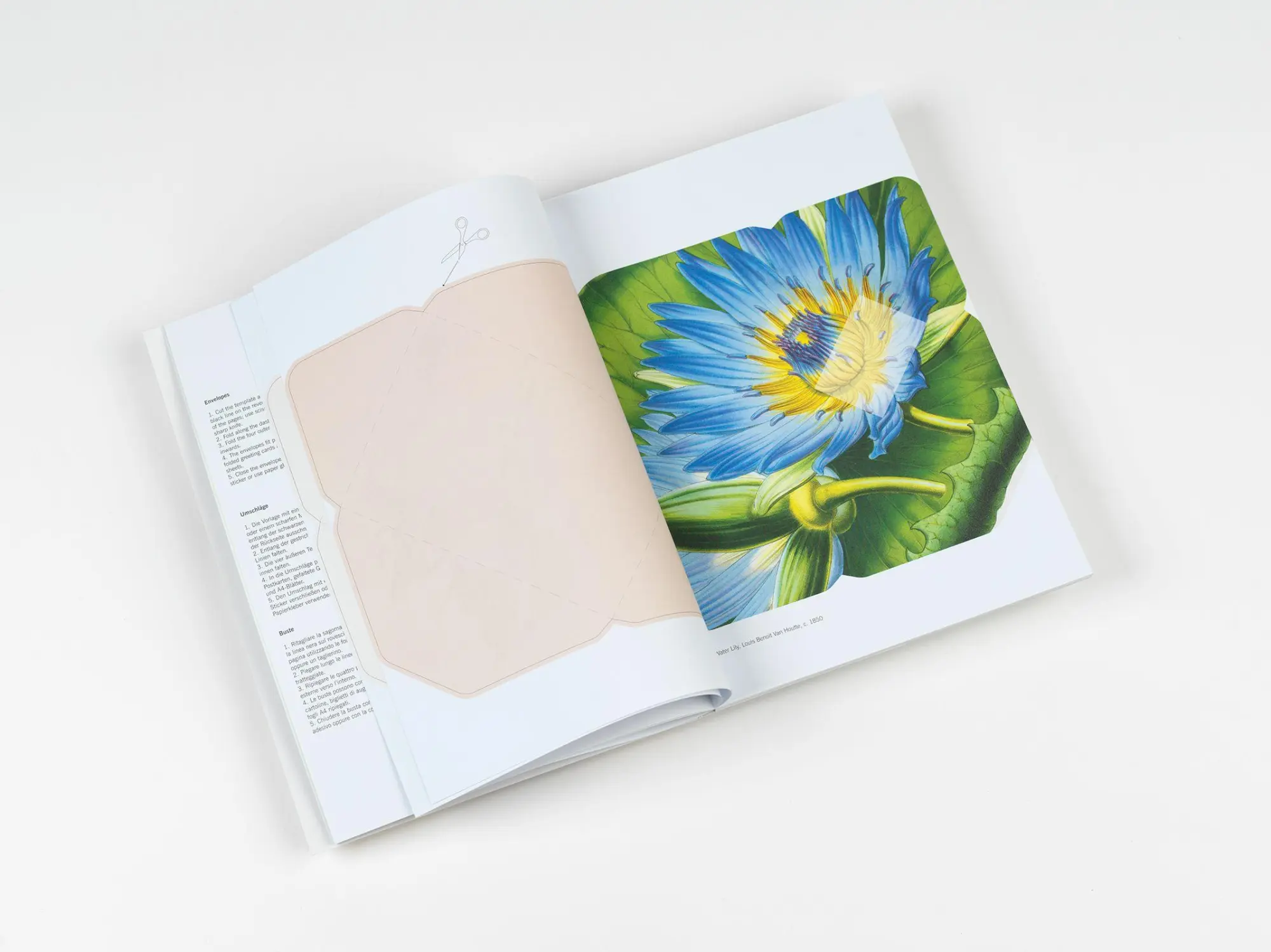 Bild: 9789460094071 | Flowers | Creative Paper Book | Pepin Van Roojen | Taschenbuch | 2026