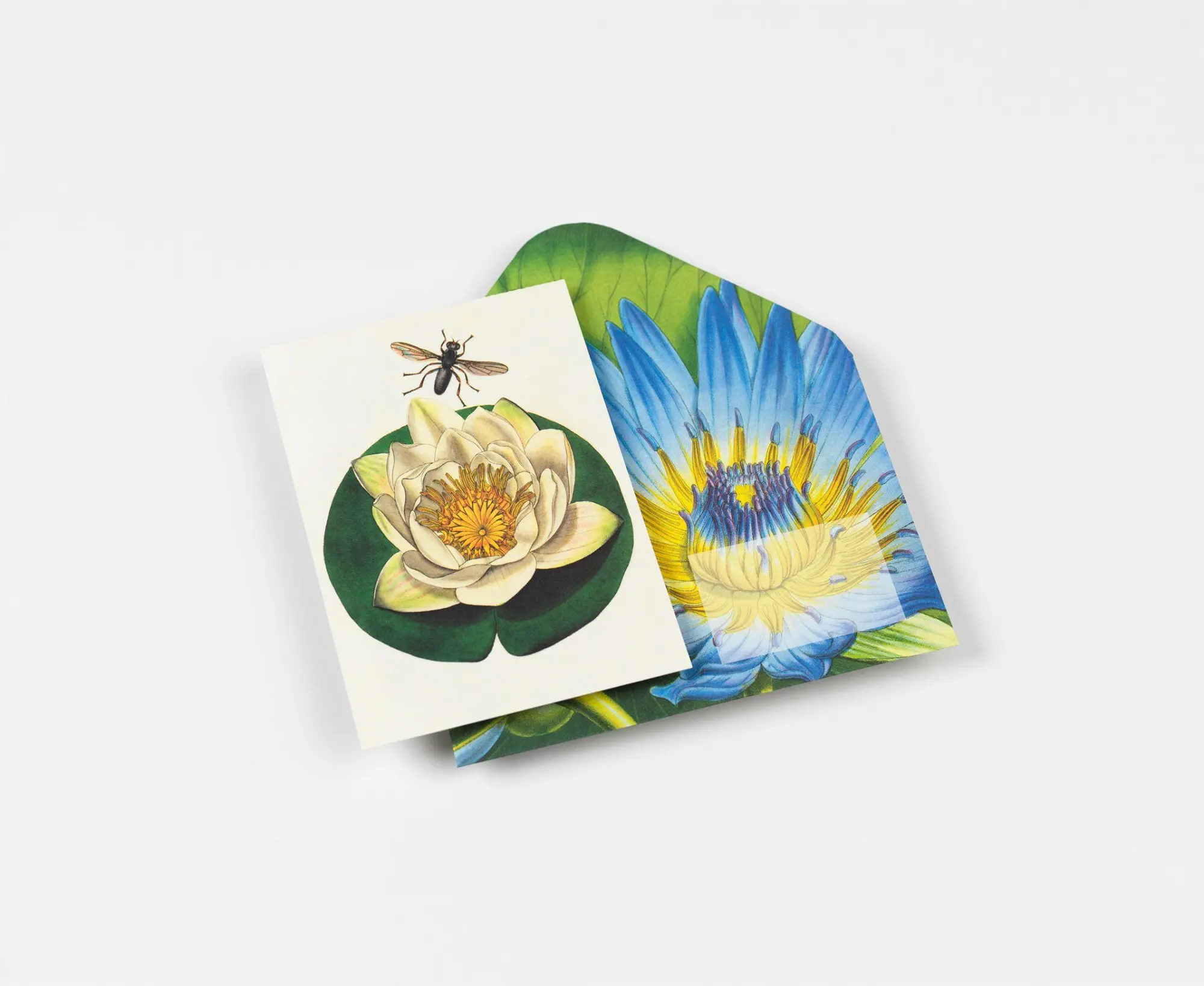 Bild: 9789460094071 | Flowers | Creative Paper Book | Pepin Van Roojen | Taschenbuch | 2026