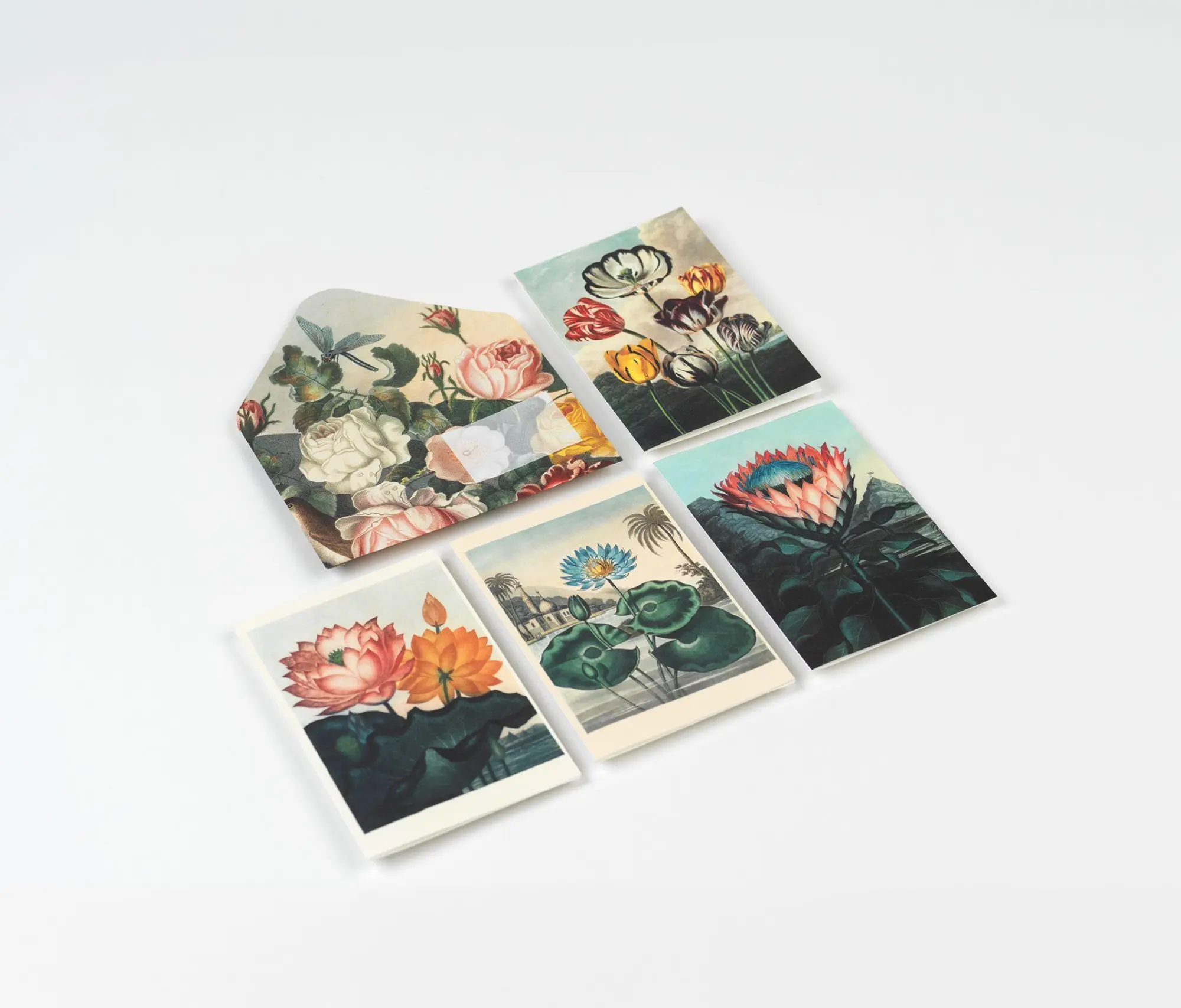 Bild: 9789460094071 | Flowers | Creative Paper Book | Pepin Van Roojen | Taschenbuch | 2026