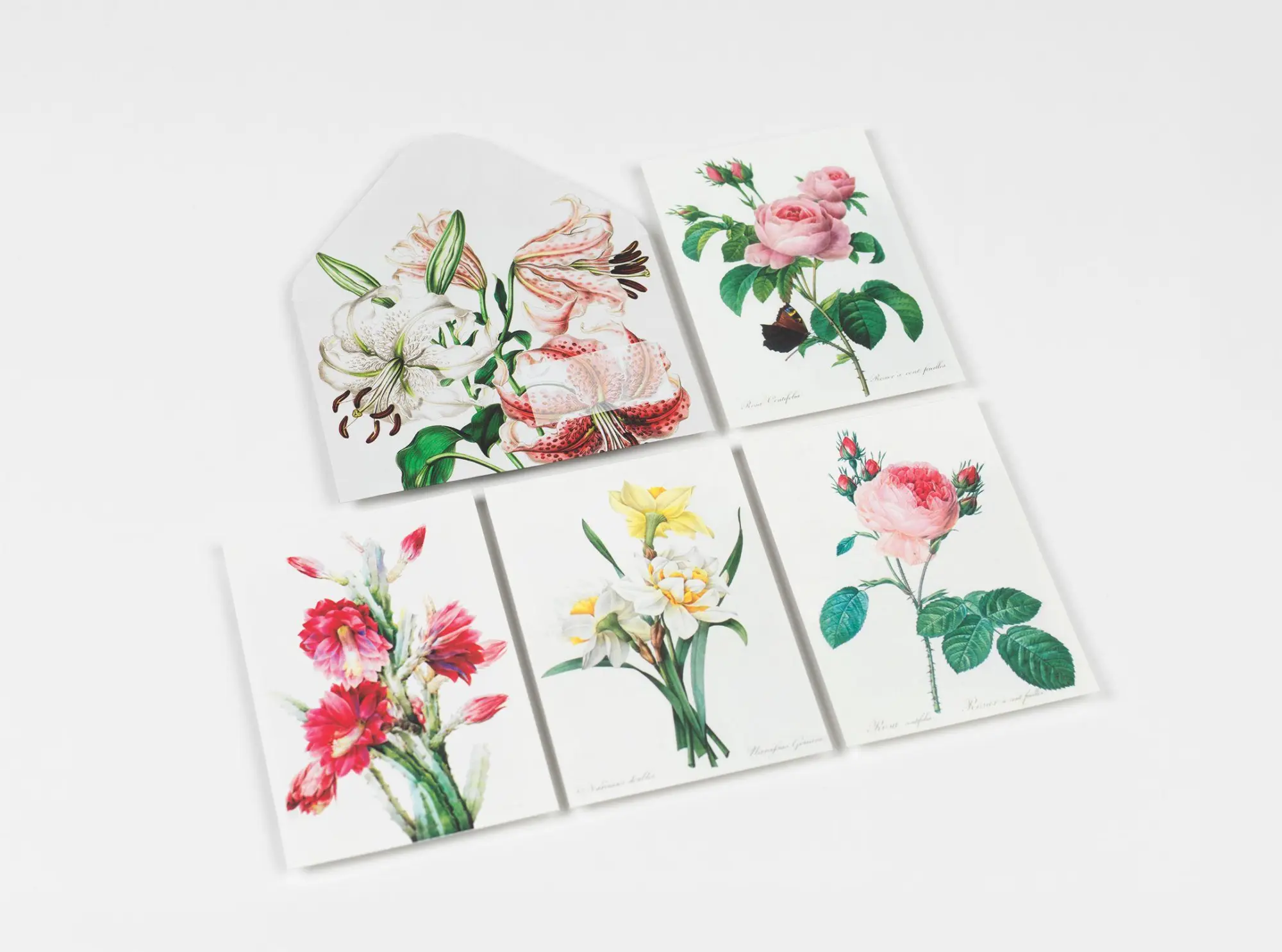 Bild: 9789460094071 | Flowers | Creative Paper Book | Pepin Van Roojen | Taschenbuch | 2026