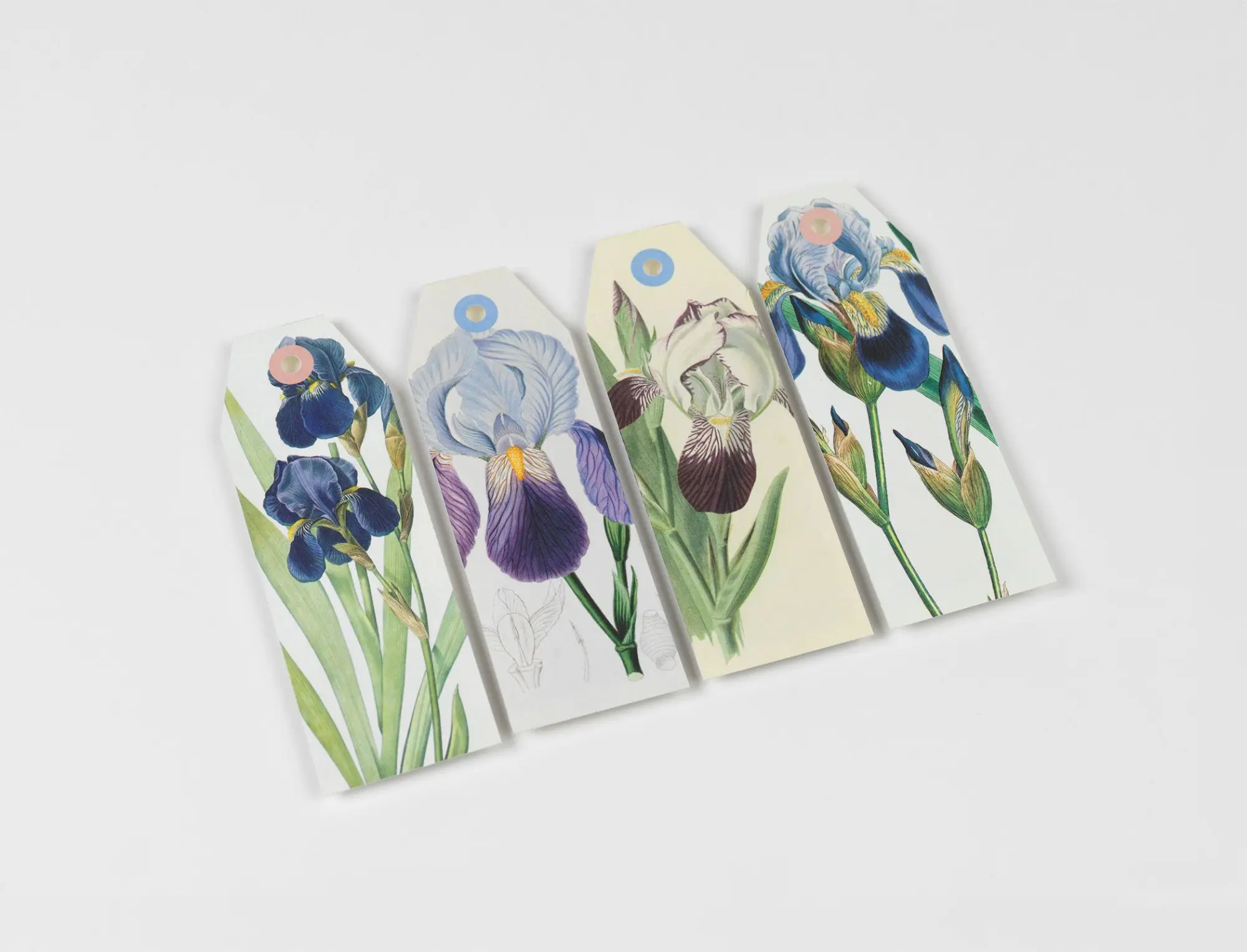 Bild: 9789460094071 | Flowers | Creative Paper Book | Pepin Van Roojen | Taschenbuch | 2026