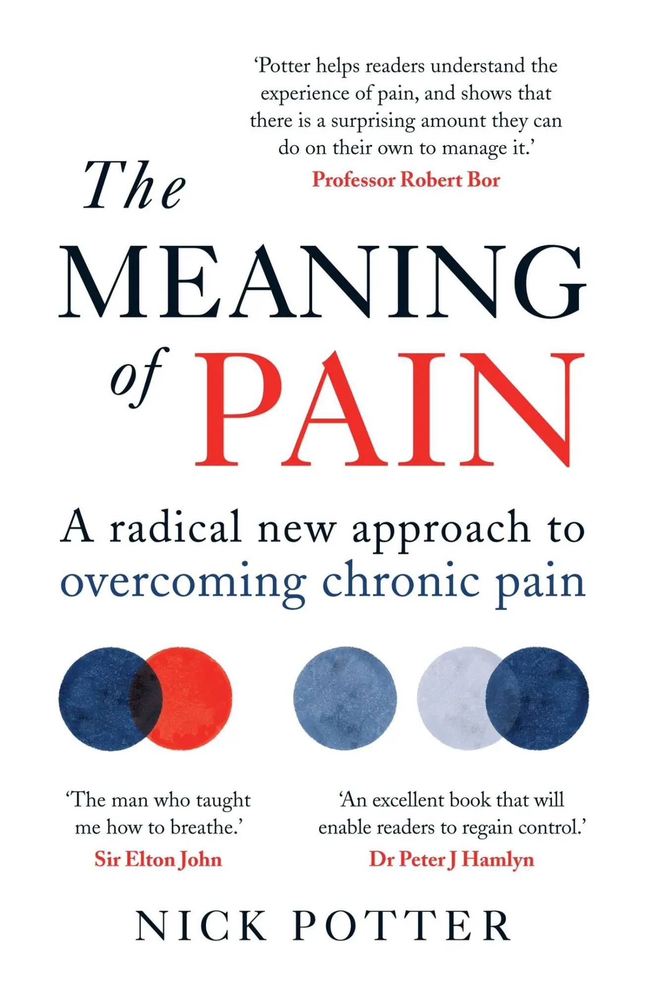 Cover: 9781780724171 | The Meaning of Pain | Nick Potter | Taschenbuch | Englisch | 2020