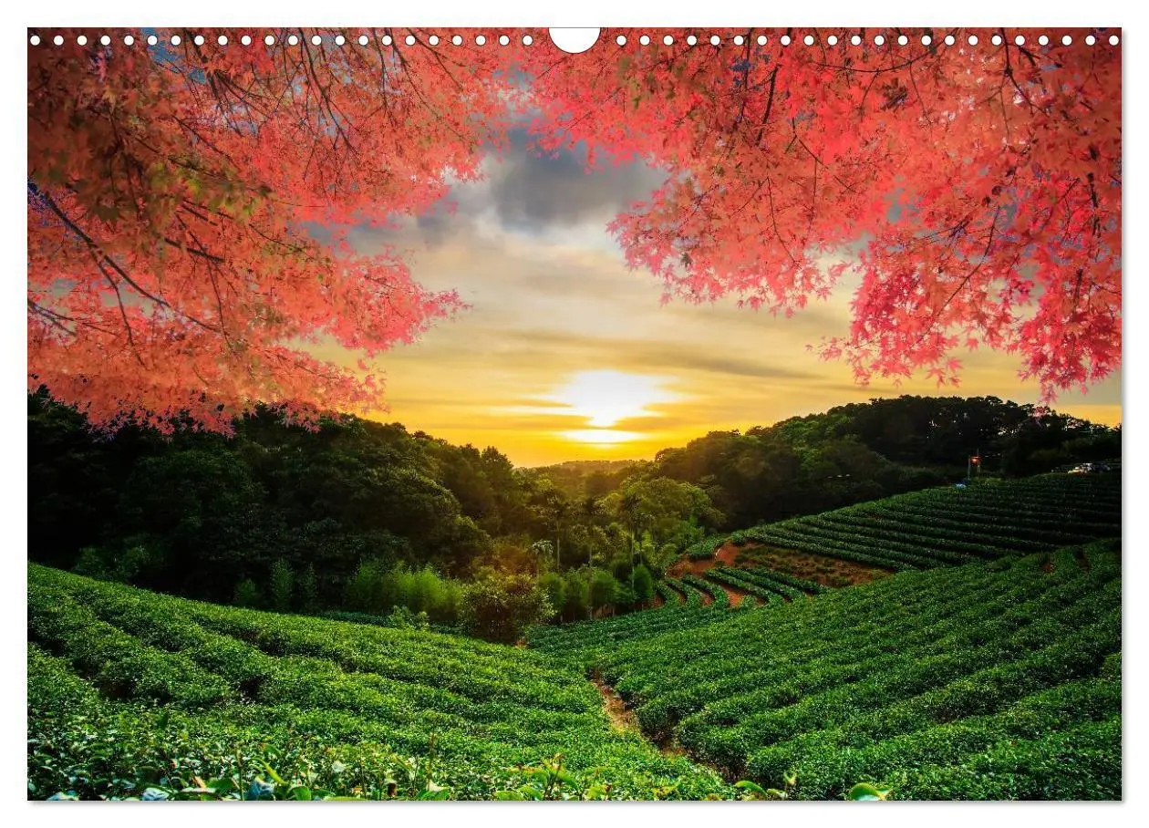 Bild: 9783435624171 | Japan. Im Land der aufgehenden Sonne (Wandkalender 2025 DIN A3...