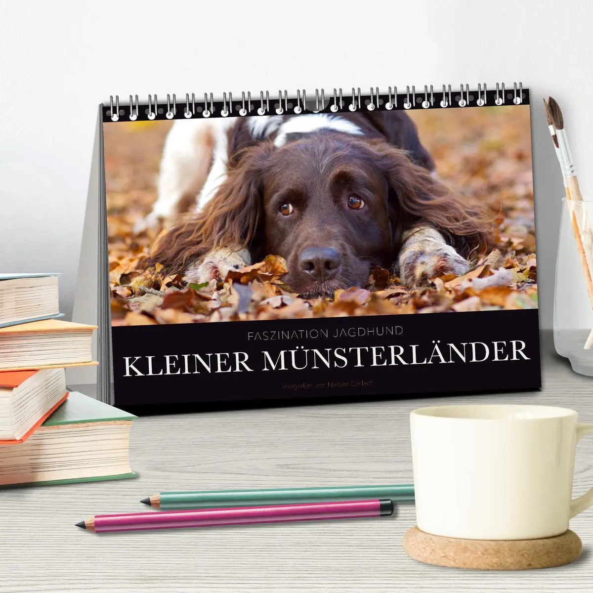 Bild: 9783457884171 | Faszination Jagdhund - Kleiner Münsterländer (Tischkalender 2026...
