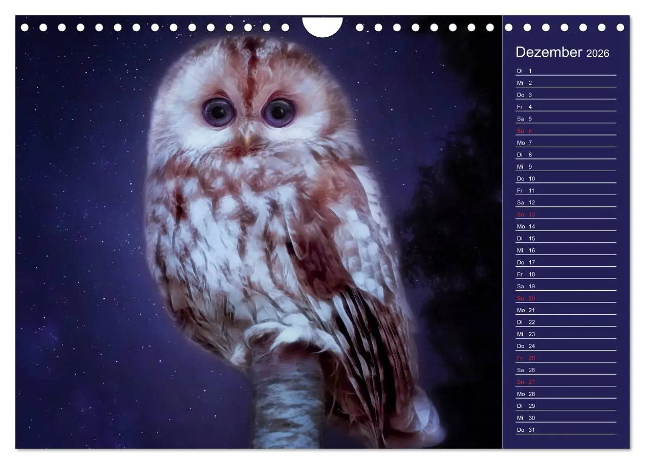 Bild: 9783516114171 | Süsse Tierwelt / CH-Version / Geburtstagskalender (Wandkalender...