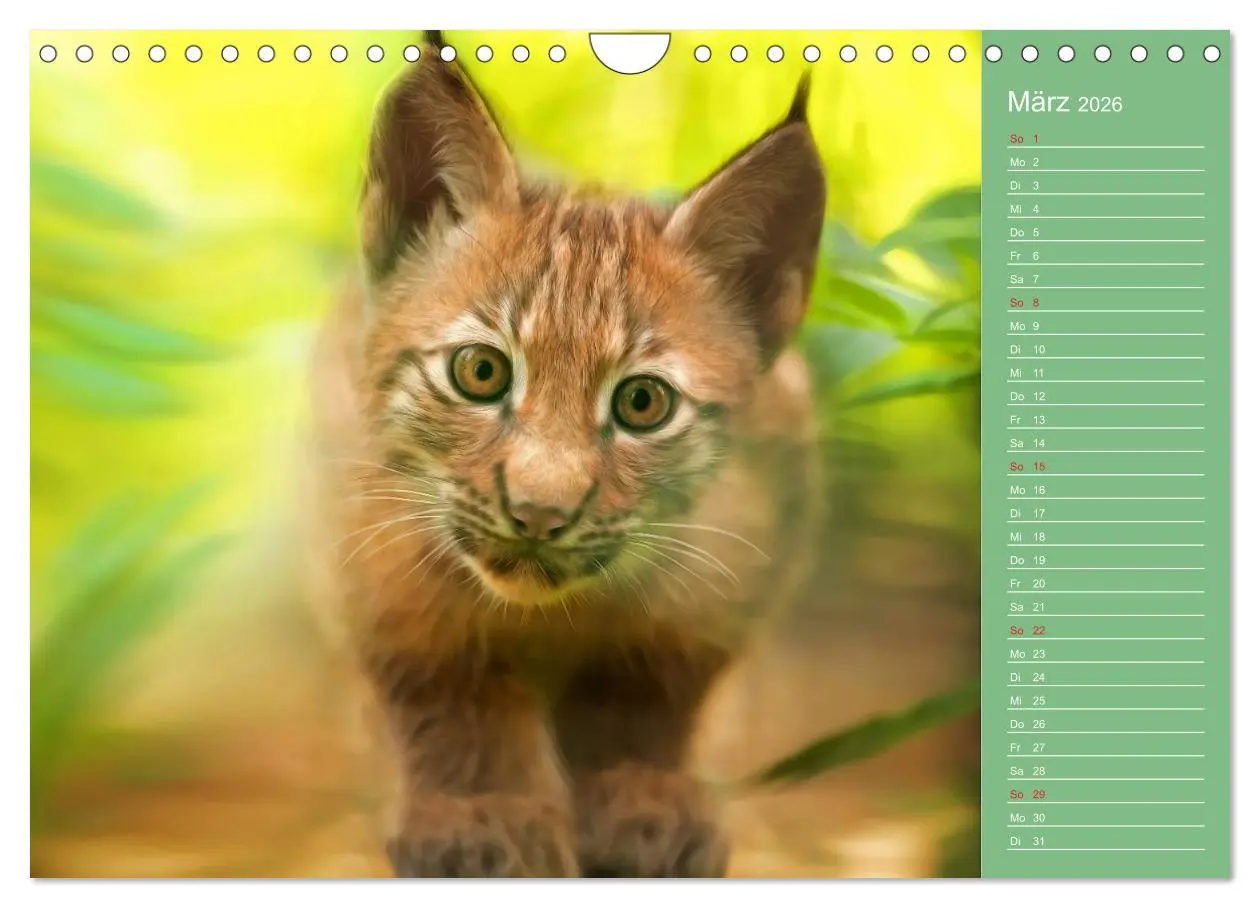 Bild: 9783516114171 | Süsse Tierwelt / CH-Version / Geburtstagskalender (Wandkalender...