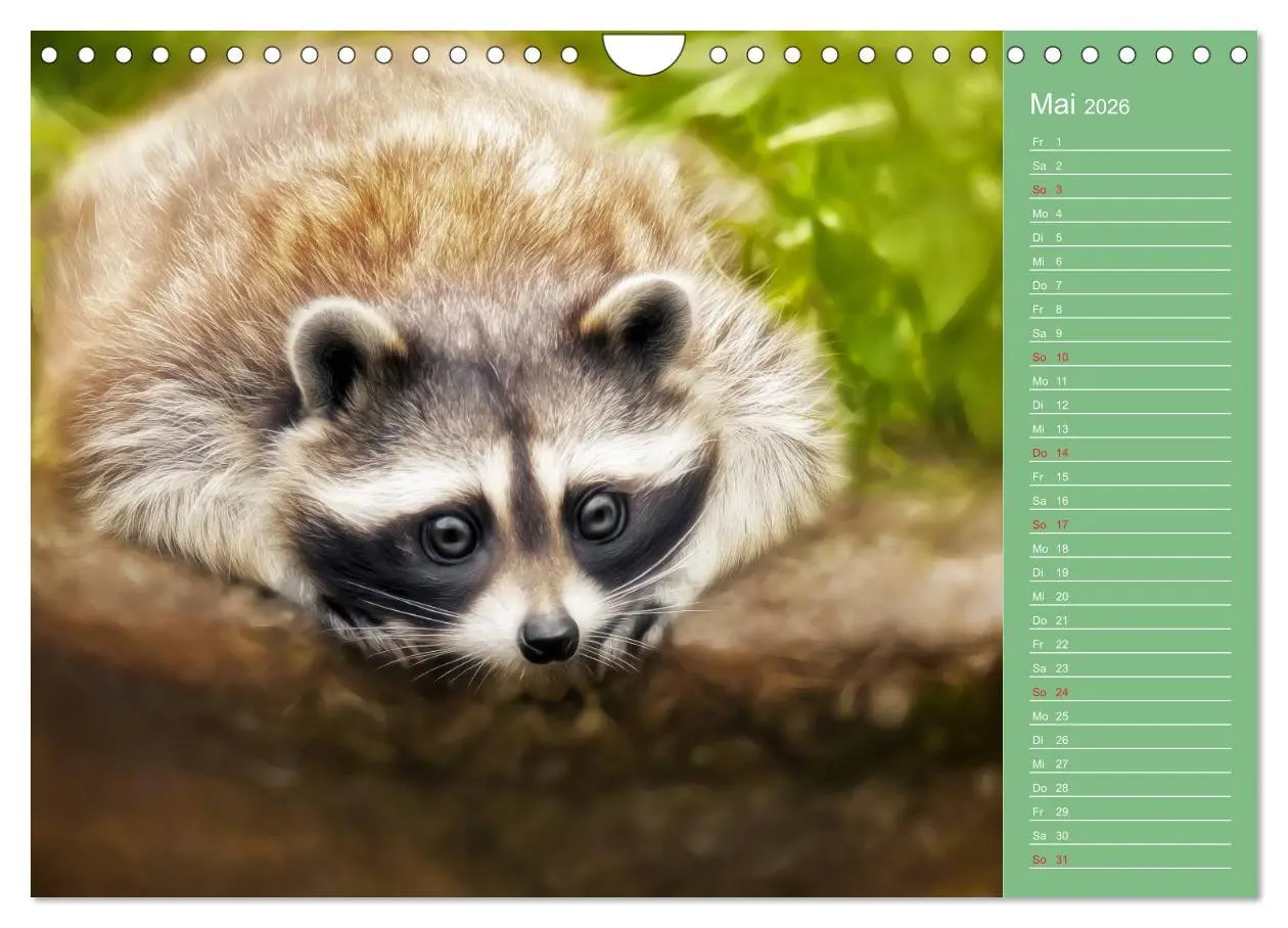 Bild: 9783516114171 | Süsse Tierwelt / CH-Version / Geburtstagskalender (Wandkalender...