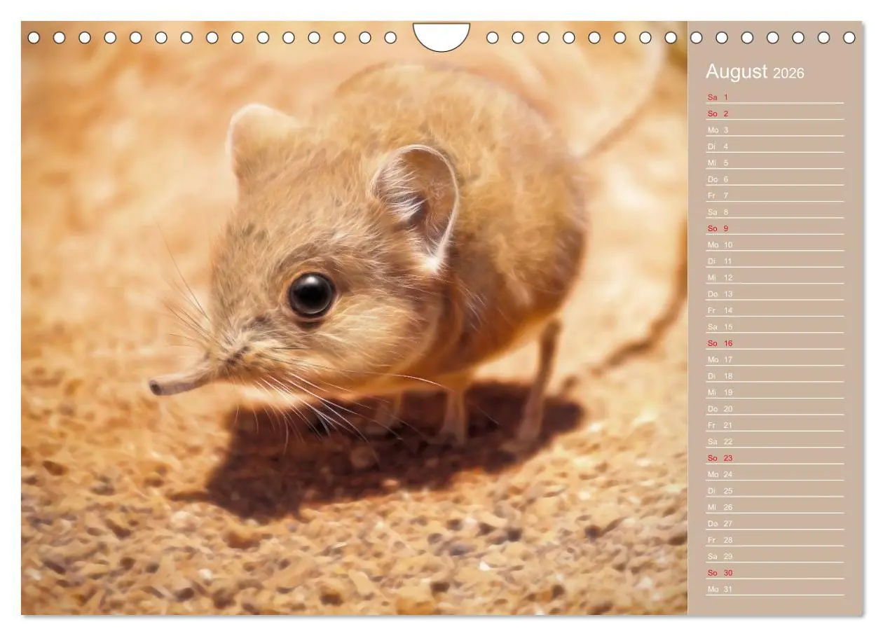 Bild: 9783516114171 | Süsse Tierwelt / CH-Version / Geburtstagskalender (Wandkalender...