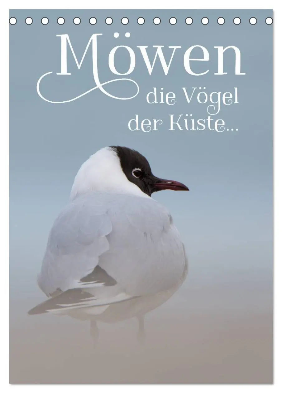 Cover: 9783516424171 | Möwen - die Vögel der Küste (Tischkalender 2026 DIN A5 hoch),...