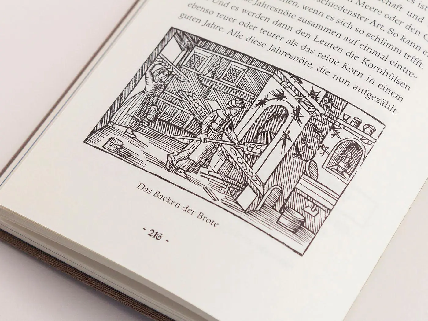 Bild: 9783847704171 | Der Königsspiegel | Rudolf Meißner | Buch | Die Andere Bibliothek