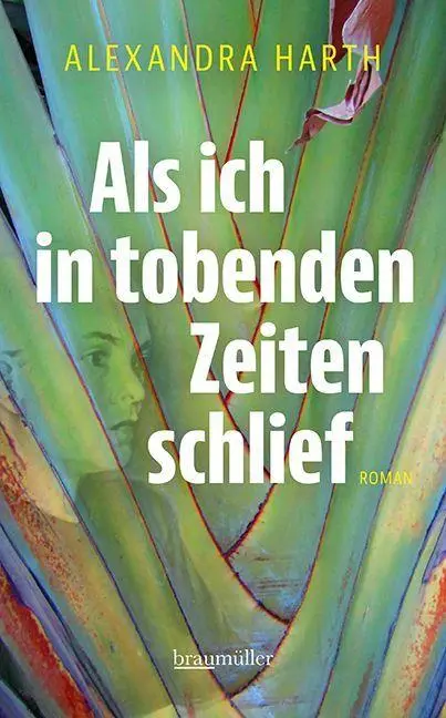 Cover: 9783992004171 | Als ich in tobenden Zeiten schlief | Alexandra Harth | Buch | 192 S.