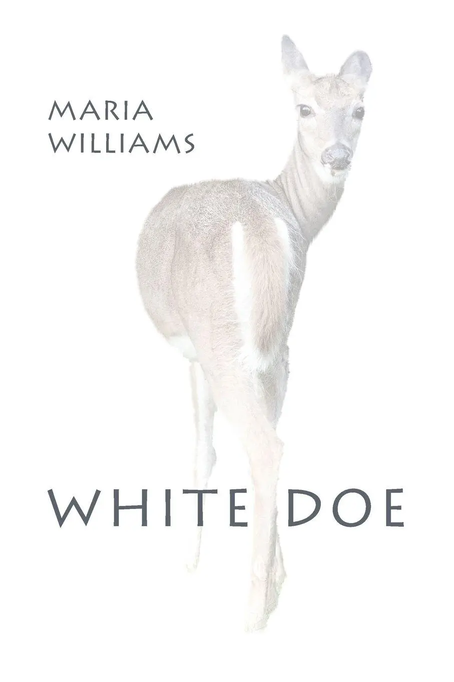Cover: 9798987954171 | White Doe | Maria Williams | Taschenbuch | Englisch | 2024