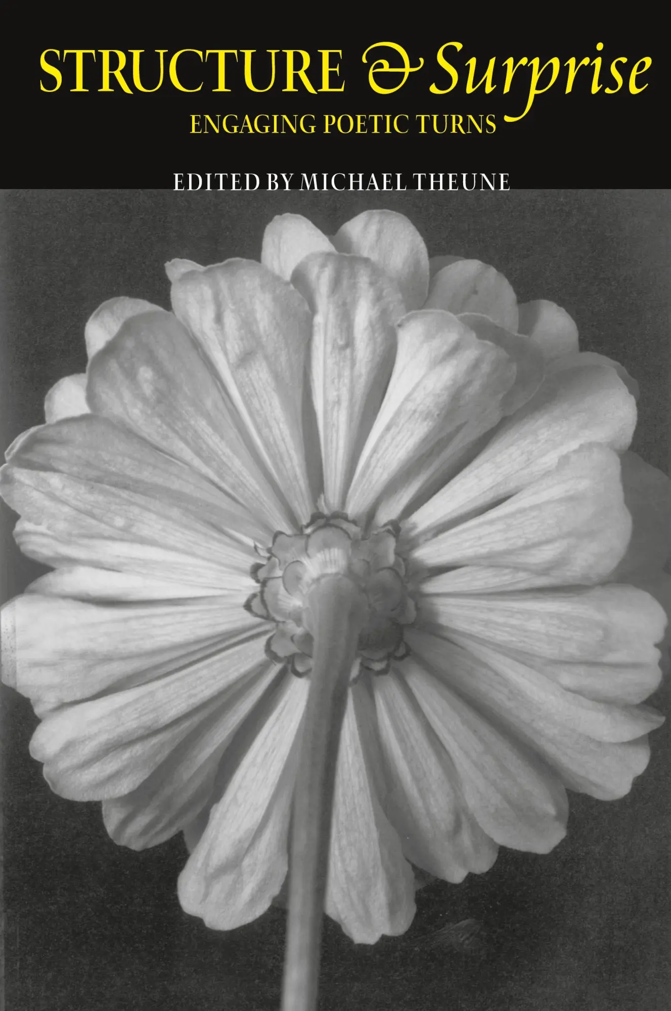 Cover: 9780915924271 | Structure &amp; Surprise | Engaging Poetic Turns | Michael Theune | Buch