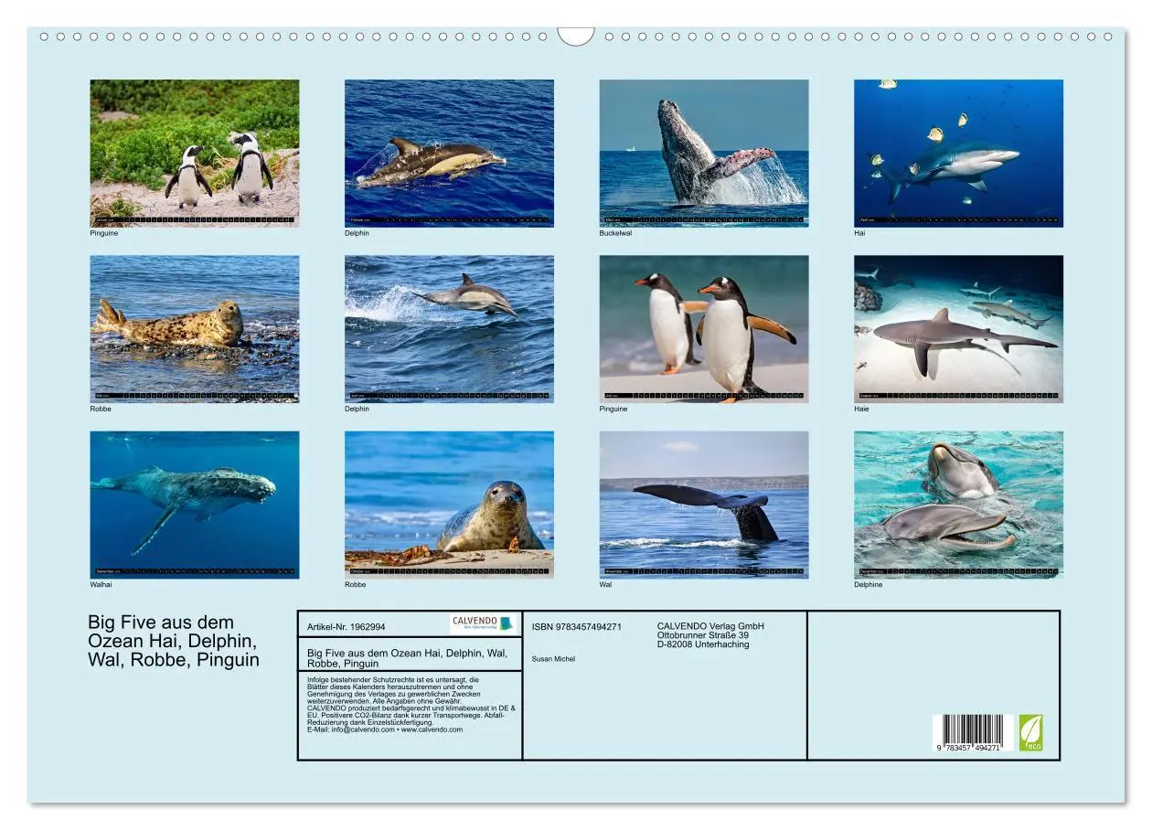 Bild: 9783457494271 | Big Five aus dem Ozean Hai, Delphin, Wal, Robbe, Pinguin...