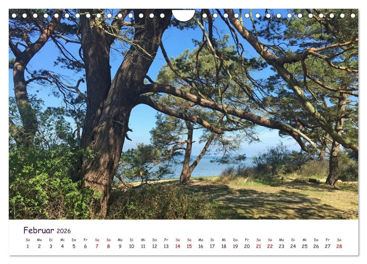 Bild: 9783457704271 | Natur und Landschaft Mecklenburg - Vorpommern 2026 (Wandkalender...