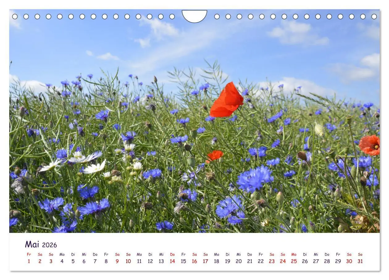 Bild: 9783457704271 | Natur und Landschaft Mecklenburg - Vorpommern 2026 (Wandkalender...
