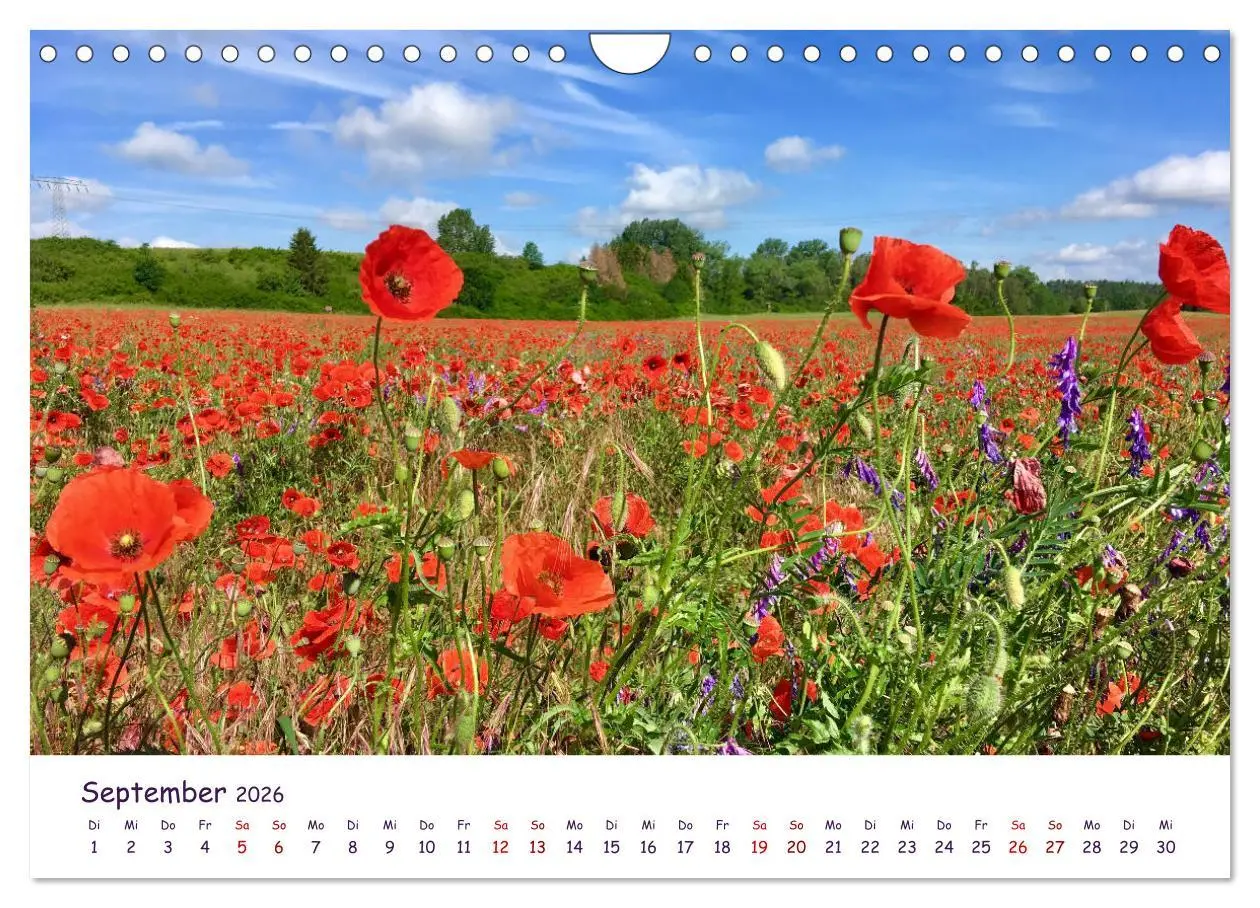 Bild: 9783457704271 | Natur und Landschaft Mecklenburg - Vorpommern 2026 (Wandkalender...