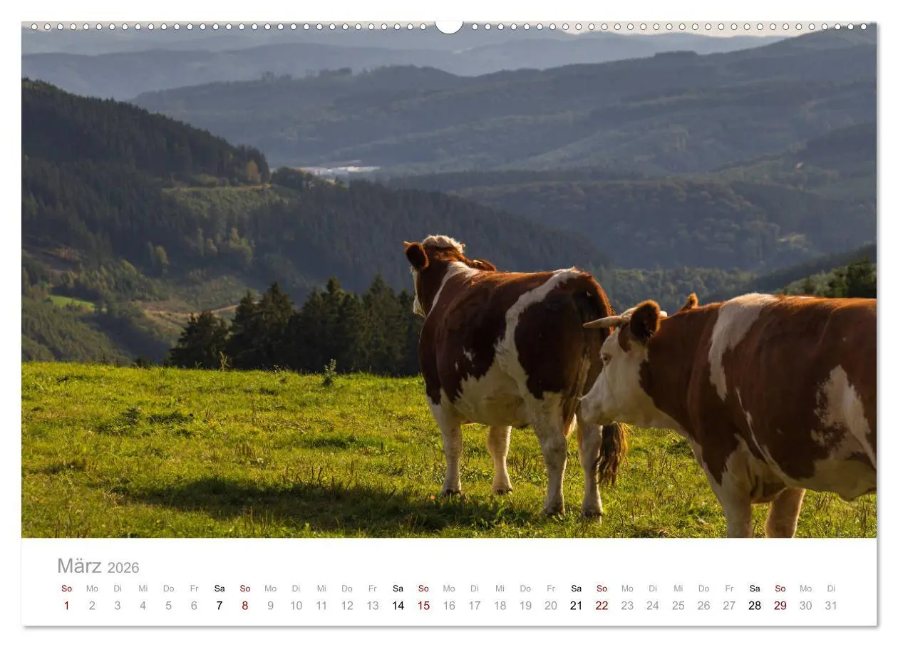 Bild: 9783457874271 | Schönes Sauerland (Wandkalender 2026 DIN A2 quer), CALVENDO...