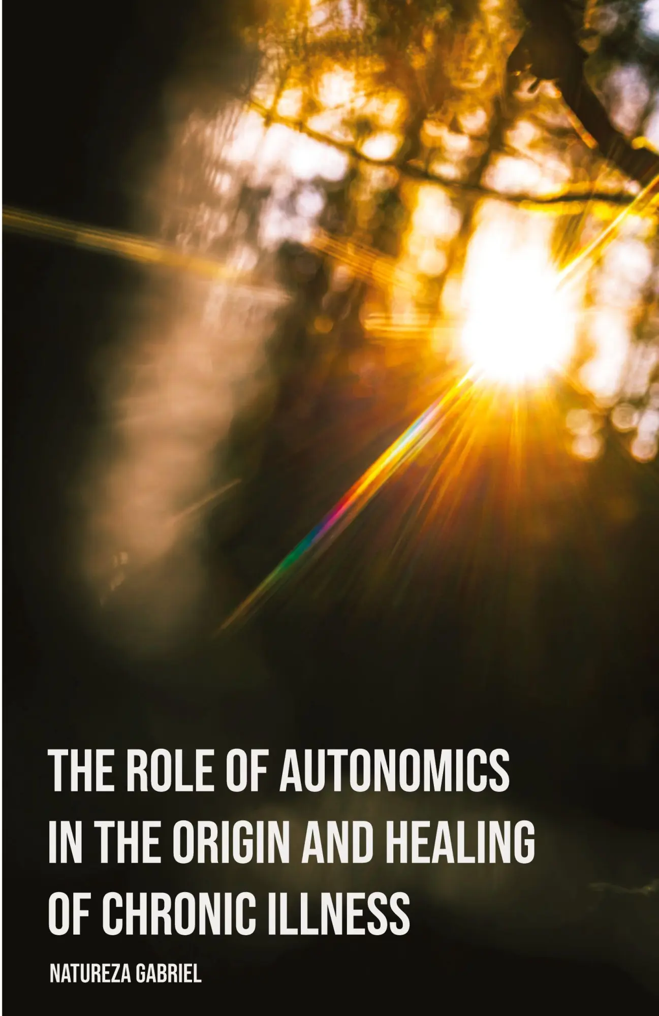 Cover: 9798991804271 | The Role of Autonomics in the Origin and Healing of Chronic Illness