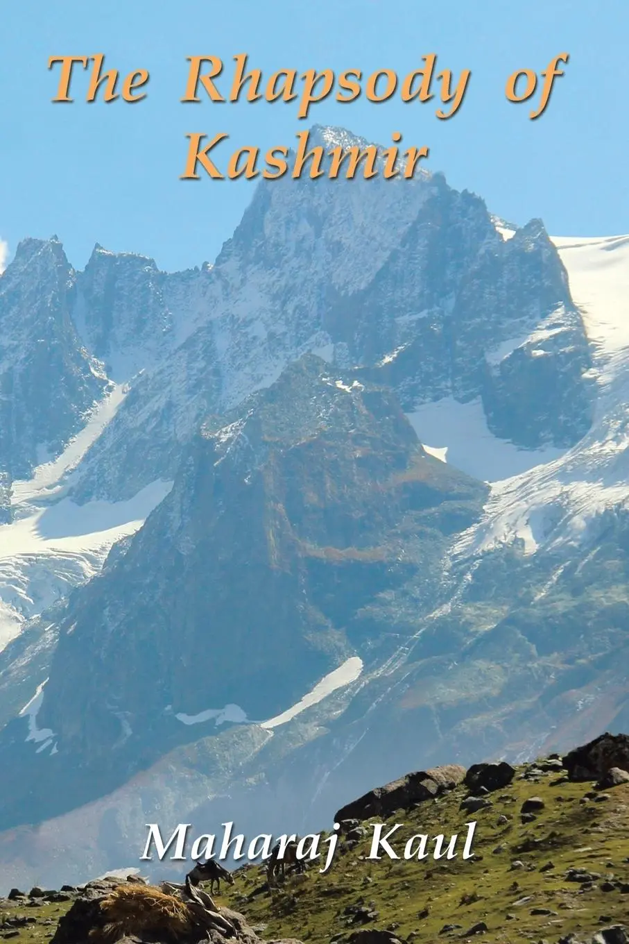 Cover: 9781482874471 | The Rhapsody of Kashmir | Maharaj Kaul | Taschenbuch | Englisch | 2016