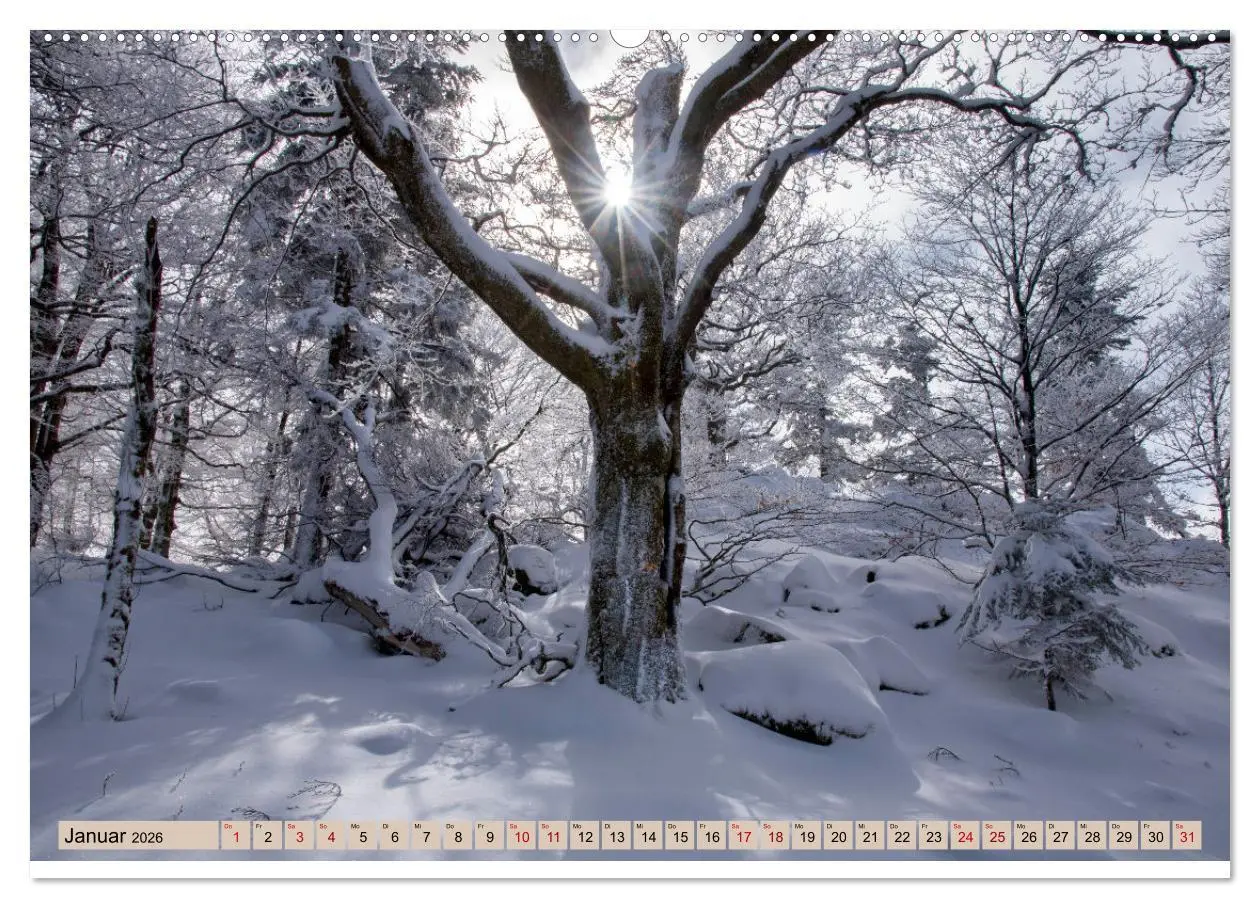 Bild: 9783457854471 | Vogesen - wunderschön (hochwertiger Premium Wandkalender 2026 DIN...