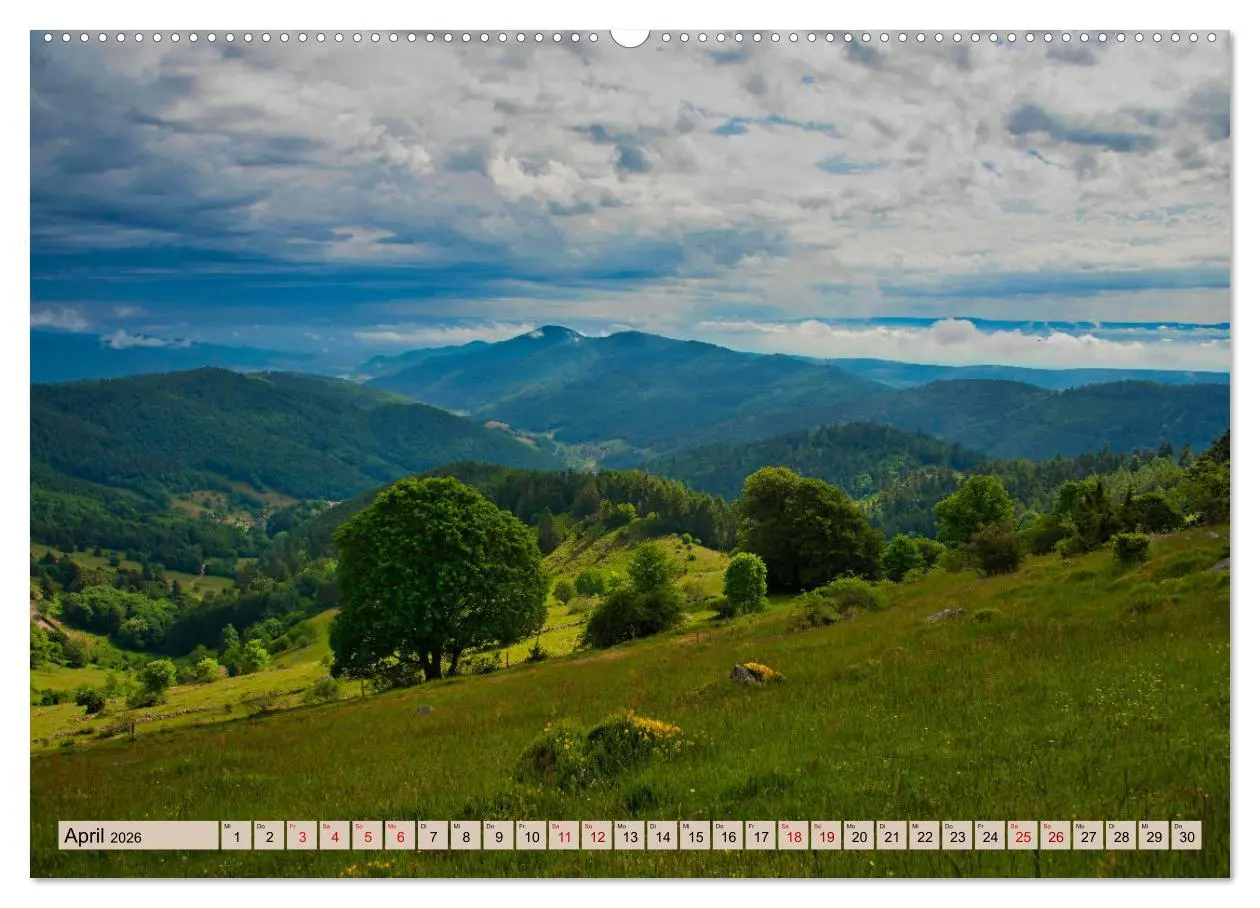 Bild: 9783457854471 | Vogesen - wunderschön (hochwertiger Premium Wandkalender 2026 DIN...