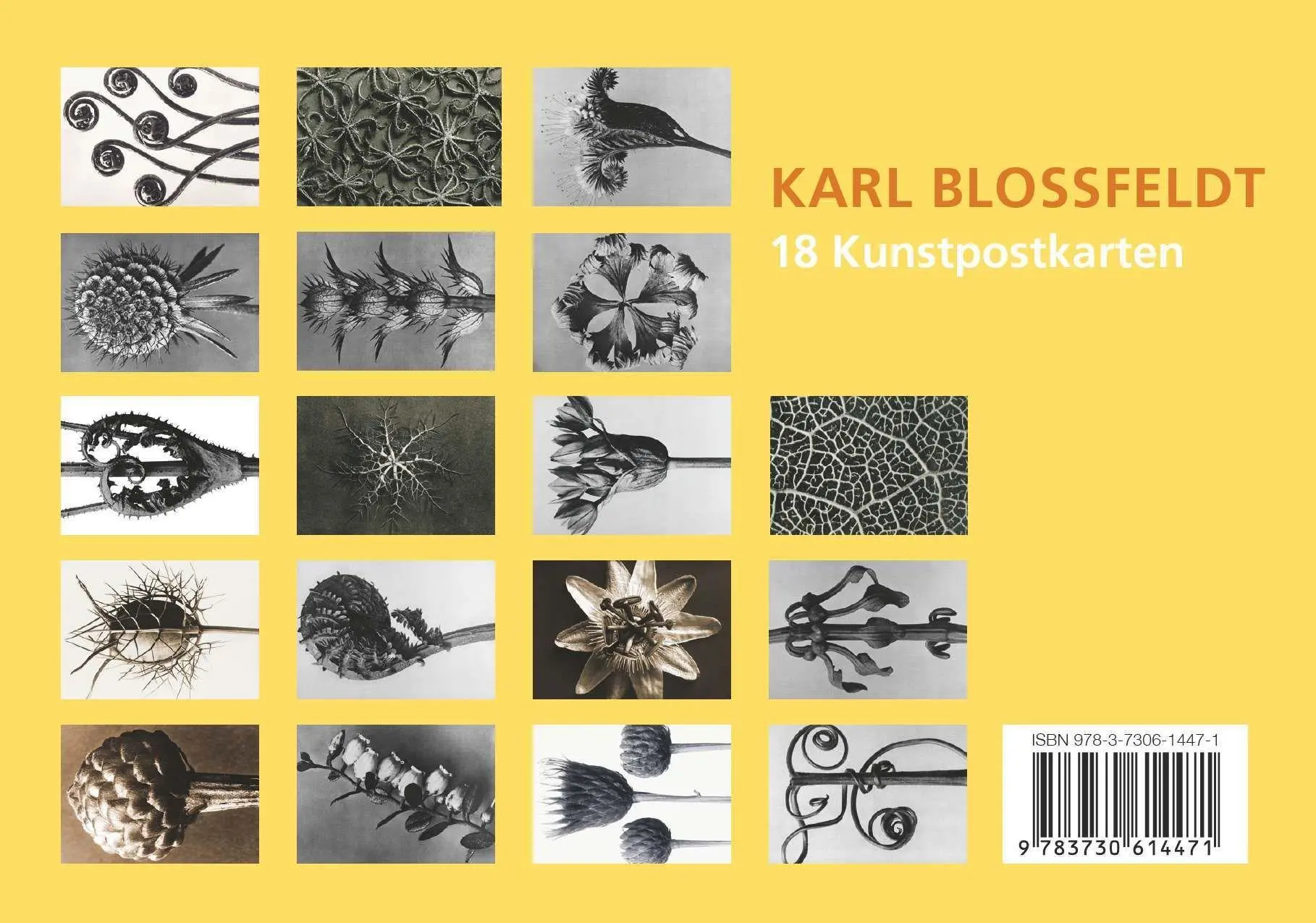 Bild: 9783730614471 | Postkarten-Set Blossfeldt | 18 Kunstpostkarten aus hochwertigem Karton