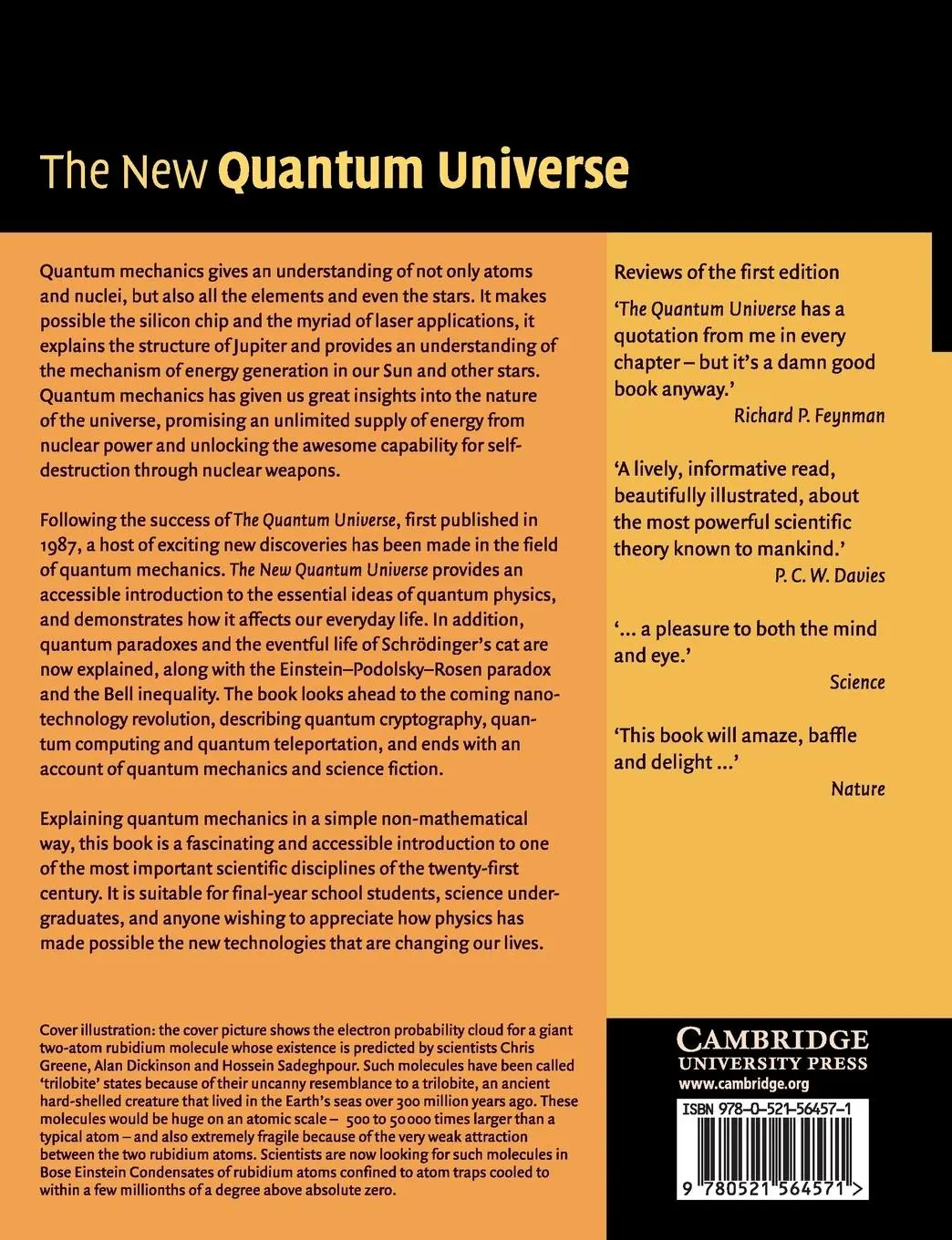 Rückseite: 9780521564571 | The New Quantum Universe | Tony Hey (u. a.) | Taschenbuch | Englisch