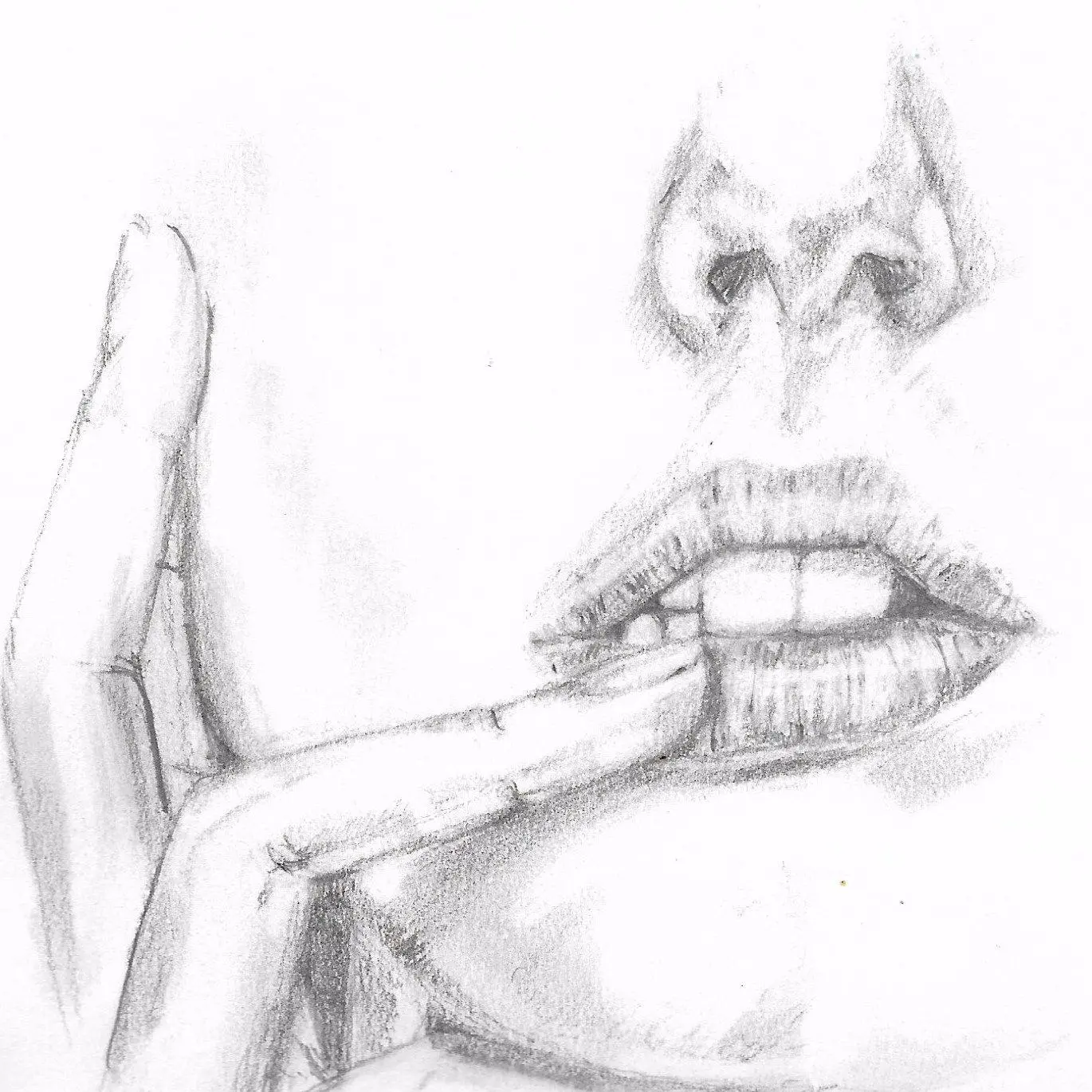 Autor: 9783347574571 | Geheime Geschichten aus dem Rotlichtmilieu BAND 2 | Sascha Gardner