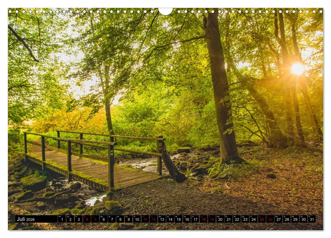 Bild: 9783457844571 | Westerwaldliebe (Wandkalender 2026 DIN A3 quer), CALVENDO...