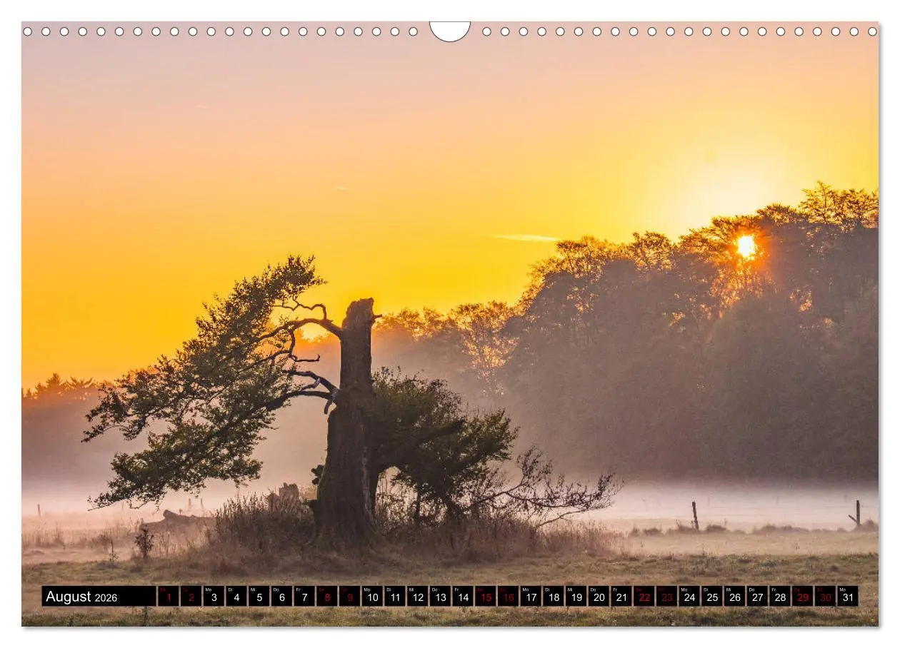 Bild: 9783457844571 | Westerwaldliebe (Wandkalender 2026 DIN A3 quer), CALVENDO...