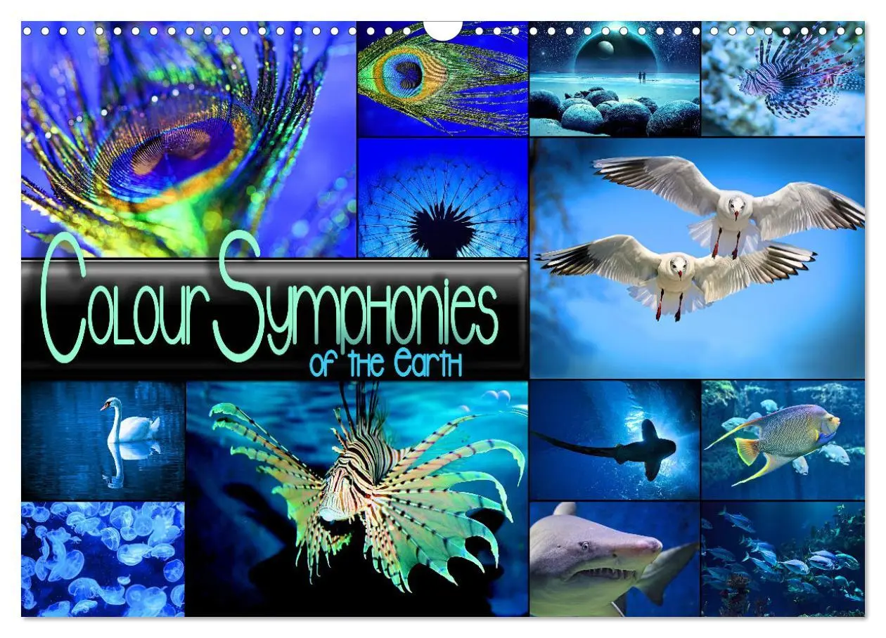 Cover: 9783516554571 | Colour Symphonies of the Earth (Wall Calendar 2026 DIN A3...