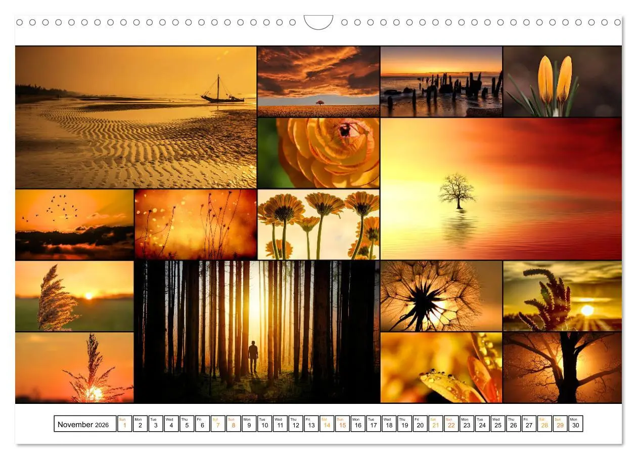 Bild: 9783516554571 | Colour Symphonies of the Earth (Wall Calendar 2026 DIN A3...