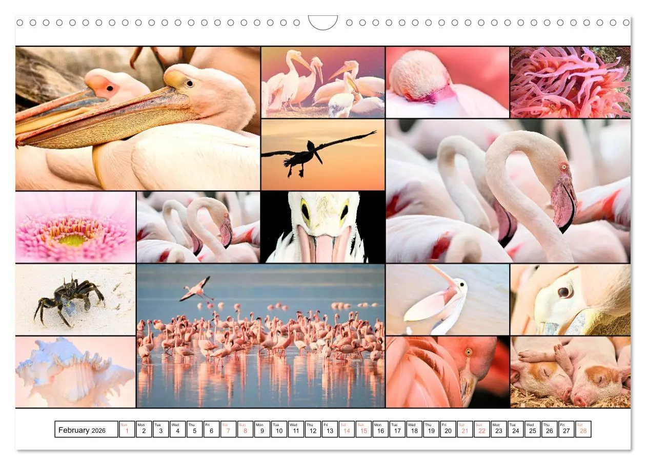 Bild: 9783516554571 | Colour Symphonies of the Earth (Wall Calendar 2026 DIN A3...